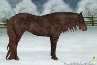 Horse Color:Liver Chestnut Ice 