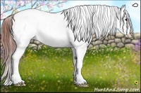 Horse Color:Brown Tobiano Varnish Rabicano 