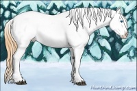 Horse Color:Bay Splash Tobiano Appaloosa Brindle