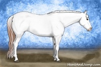 Horse Color:Bay Splash Tobiano Appaloosa Brindle