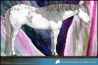 Horse Color:Black Splash Varnish 