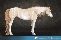 Horse Color:Smoky Black Pearl Sabino  Brindle