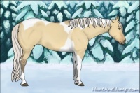 Horse Color:Silver Buckskin Roan Dun Tobiano