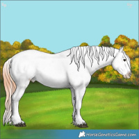 Horse Color:Bay Roan Dun Splash Snowcap Rabicano  Brindle