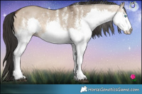 Horse Color:White Spotted Brown Dun Splash Rabicano  Brindle