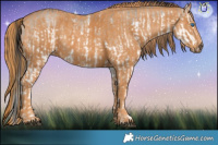 Horse Color:White Spotted Brown Dun Splash Rabicano  Brindle