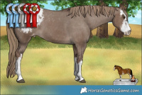 Horse Color:White Spotted Liver Red Dun Varnish Rabicano  Brindle