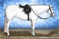 Horse Color:White Spotted Grullo Snowcap Rabicano Brindle