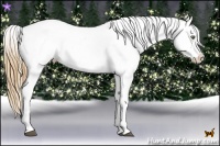 Horse Color:White Spotted Grullo Pearl Splash Appaloosa Rabicano Brindle