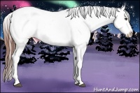 Horse Color:White Spotted Grullo Appaloosa Rabicano  Brindle