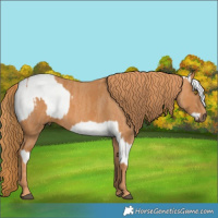 Horse Color:Brown Pearl Dun Sabino Frame Snowcap Rabicano  Brindle