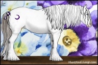 Horse Color:Grullo Splash Appaloosa Rabicano  Brindle