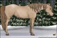 Horse Color:Black Pearl