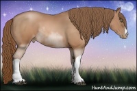 Horse Color:Brown Pearl 