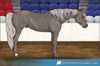 Horse Color:Silver Black 