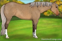 Horse Color:Silver Brown Dun