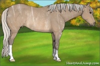 Horse Color:Silver Buckskin Ice Rabicano