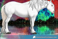 Horse Color:Liver Chestnut Appaloosa