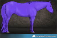 Horse Color:Watercolor Liver Chestnut 