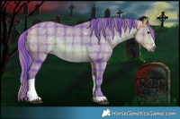 Horse Color:Watercolor Plaid Buckskin Sabino Tobiano