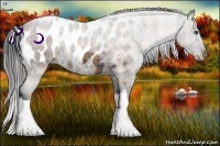 Horse Color:Plaid Brown Appaloosa Brindle
