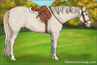 Horse Color:Smoky Creme 