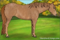 Horse Color:Chestnut Splash Frame  Brindle