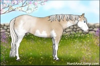 Horse Color:Silver Brown Pearl Sabino Splash Tobiano 
