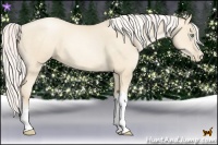 Horse Color:Silver Amber Cream Champagne Pearl 