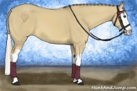 Horse Color:Palomino Dun Splash