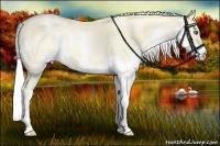 Horse Color:Silver Buckskin Pearl Splash