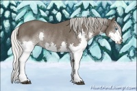 Horse Color:Silver Black Splash Rabicano 