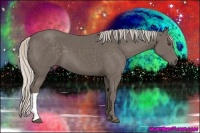 Horse Color:Silver Black 