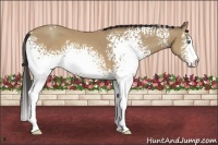 Horse Color:White Spotted Sable Champagne Sabino