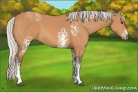 Horse Color:White Spotted Silver Bay 