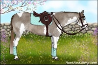 Horse Color:Liver Red Roan Splash Tobiano