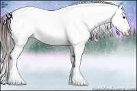 Horse Color:White Spotted Brown Ice Frame Appaloosa 