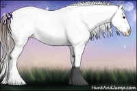 Horse Color:Brown Roan Appaloosa Rabicano