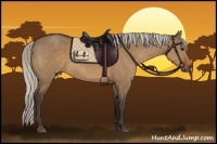 Horse Color:Silver Bay Dun Sabino