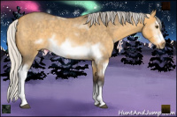Horse Color:White Spotted Silver Buckskin Roan Dun Splash Frame