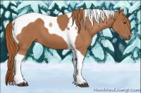 Horse Color:Chestnut Tobiano