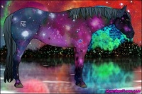 Horse Color:ERROR: UNKNOWN ANOMALY Brindle