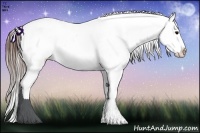 Horse Color:Brown Appaloosa