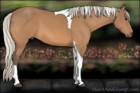 Horse Color:Silver Buckskin Tobiano 