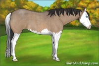 Horse Color:Bay Roan Dun Splash
