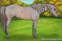 Horse Color:Brown Varnish 