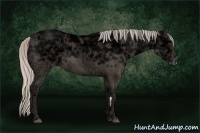 Horse Color:Silver Black Ice Frame