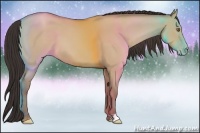 Horse Color:Classic Champagne Dun 