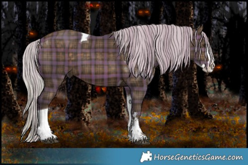 Horse Color:Plaid  Silver Brown Sabino Splash Tobiano 