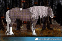 Horse Color:Plaid  Silver Brown Sabino Splash Tobiano 